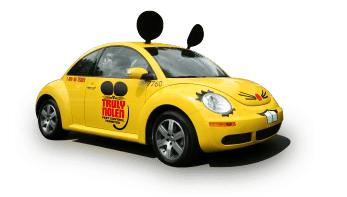 truly nolen carro